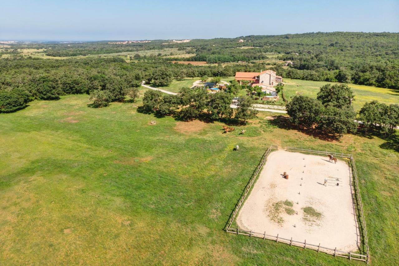 Villa Paradiso Umag Exterior foto